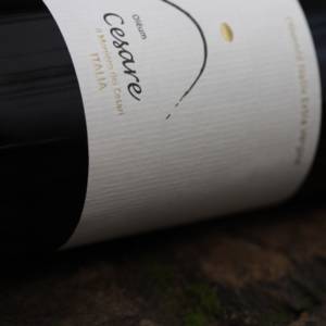 Oleum Cesare - Natives Berg-Olivenöl Extra Vergine